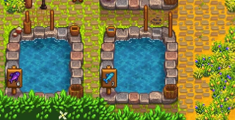 How to get caviar in Stardew Valley Fish Pond