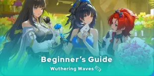 Wuthering Waves Beginner's Guide