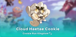 Cloud Haetae Cookie toppings