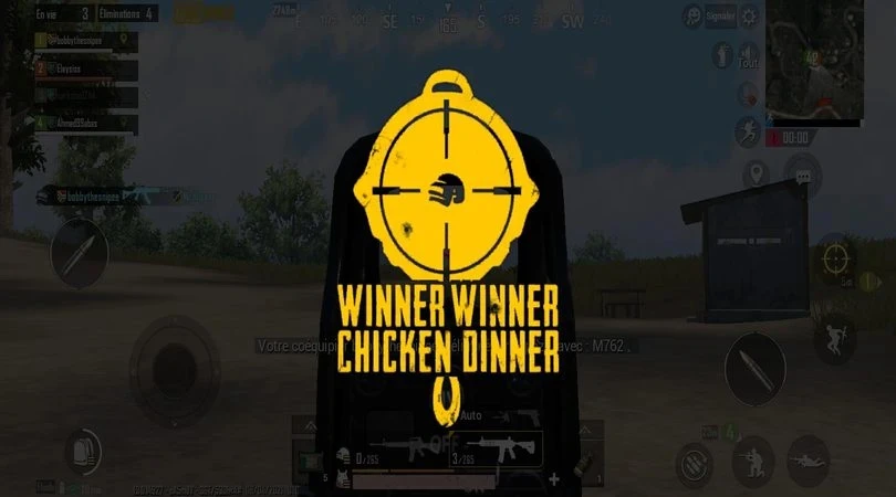 PUBG mobile winner