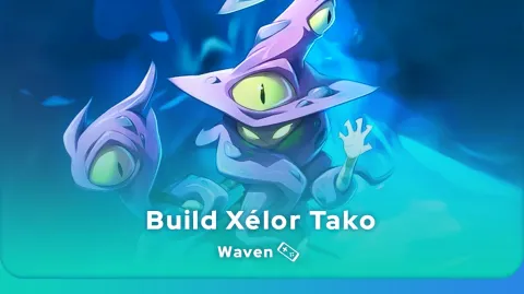 Skin du Build Xélor Tako Waven