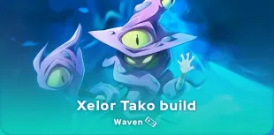 Waven Xelor Tako build skin