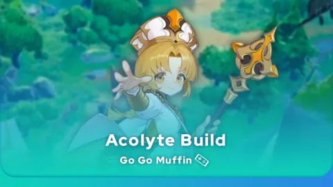 Go Go Muffin Acolyte Build