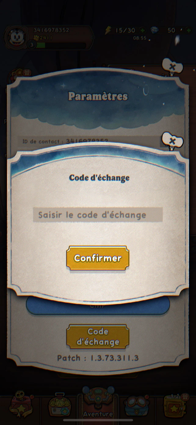 Entrer les codes Acecraft