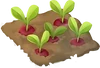 Radieschenbeet - Merge Gardens Gemüsebeet