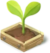 Gemüsebeet