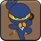 Ninja Cookie