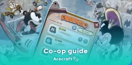 Acecraft co-op guide