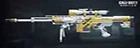 Arctic .50