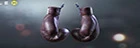 Gants de boxe
