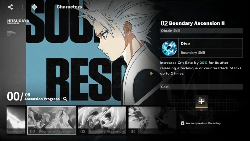 Anderes Dupe für den Toshiro-Build Bleach Soul Resonance