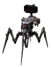 Rayker