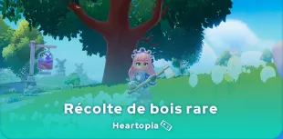 Bois rare dans Heartopia