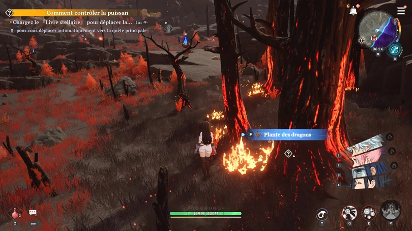 Récoltes de la Plante des Dragons 7DS: Origin