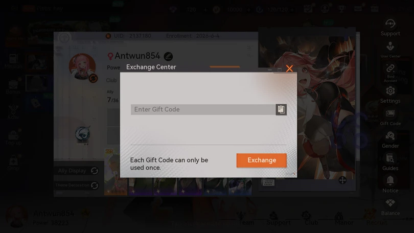 Enter the Dragon Raja: ReRise codes