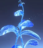 Silvan Grass
