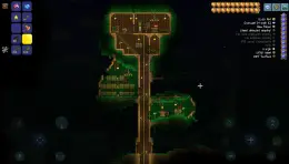 Screenshot No. 3 from Terraria