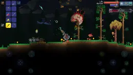 Screenshot no. 4 from Terraria