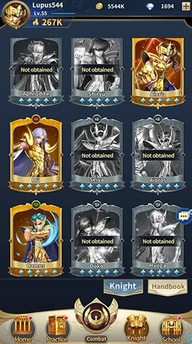 Liste aller Goldritter für guide des Anfängers Saint Seiya LOJ
