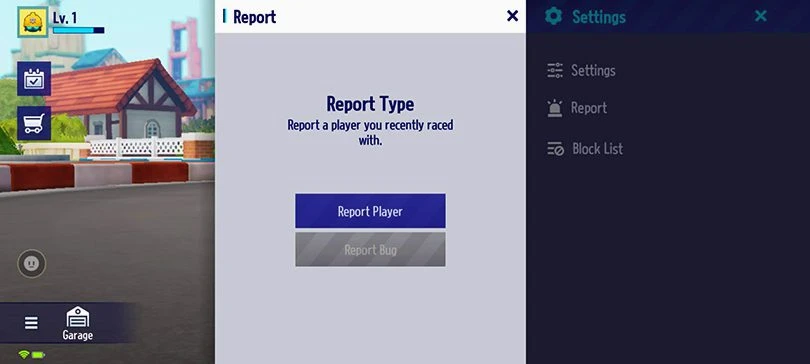 Types of reports to KartRider: Drift customer support